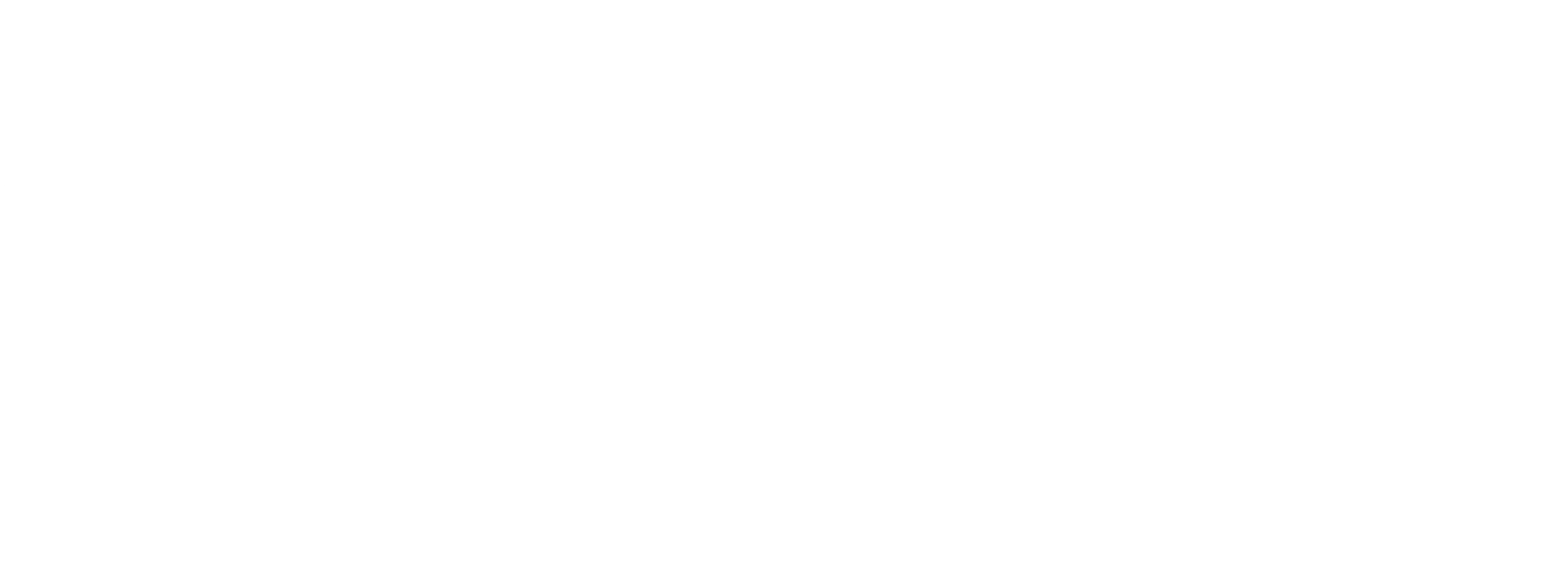 Southern Trust Mortgage Logo